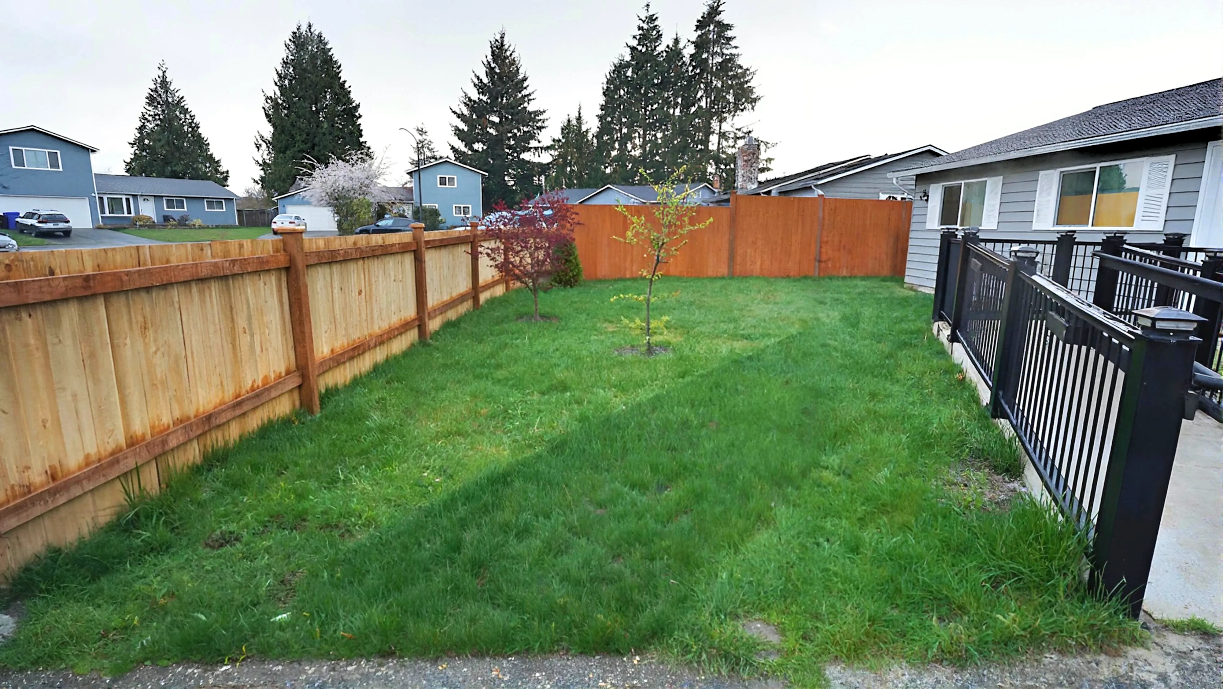Spacious backyard garden
